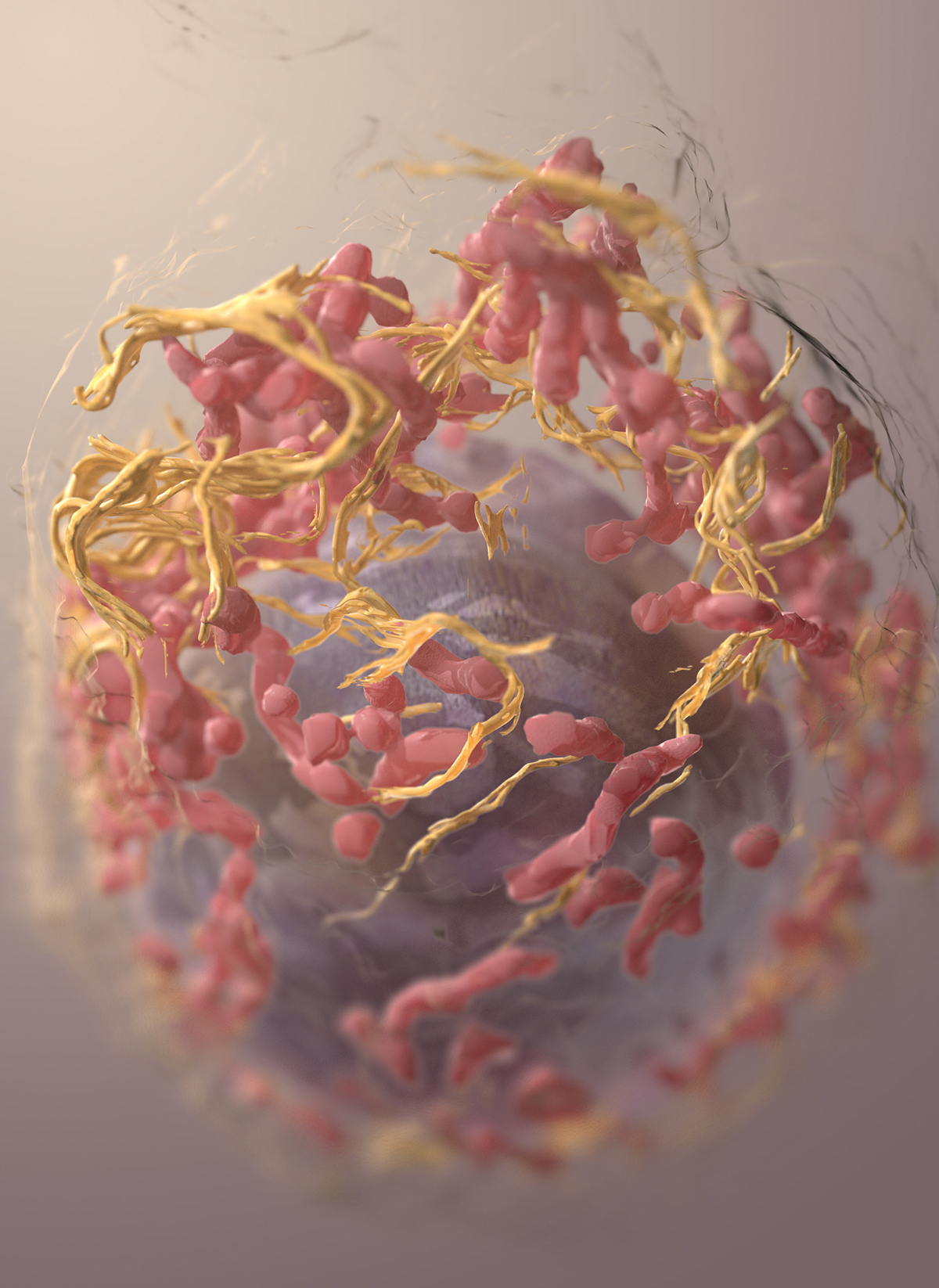 3D structure of a melanoma cell derived by ion abrasion scanning electron microscopy.