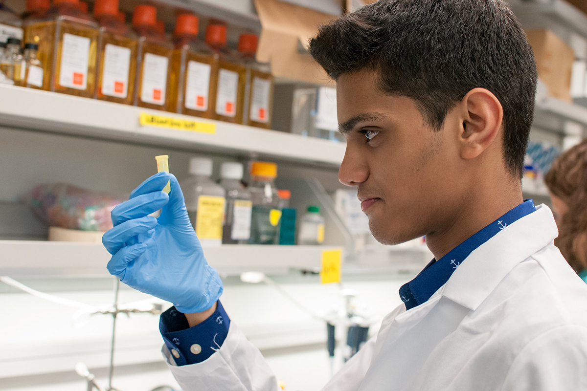 Scientist looks at small research tube as part of career development program.