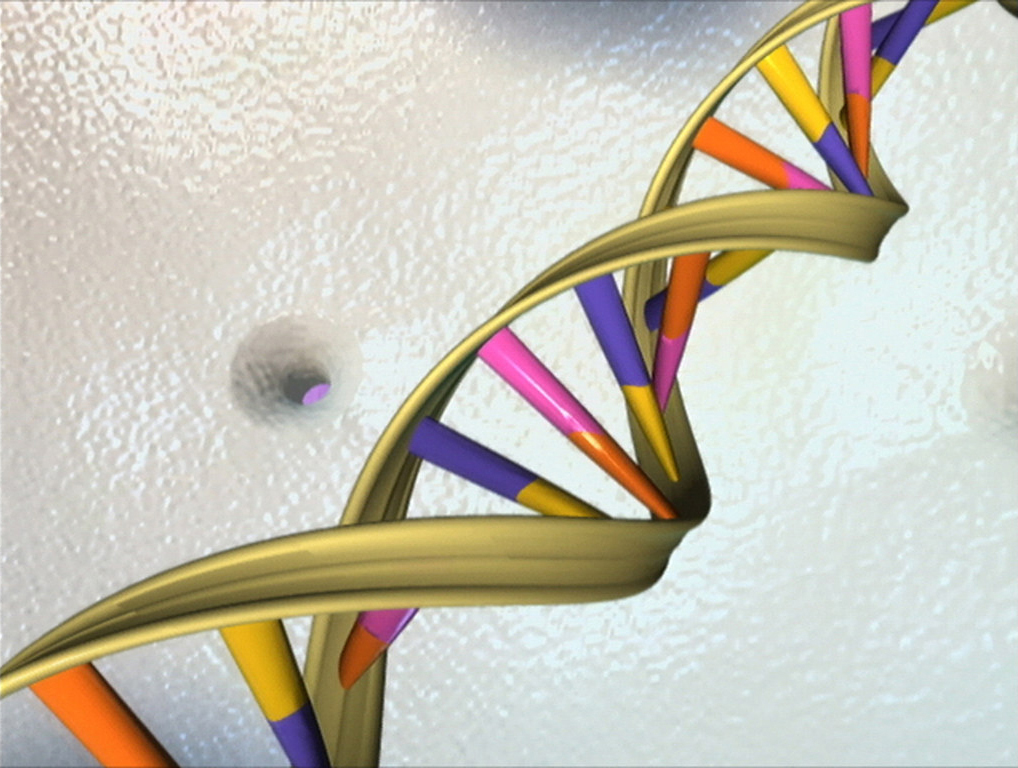 Illustration of the double helical structure of DNA with a yellow phosphate backbone and nucleotides colored in purple, yellow, pink, and orange.