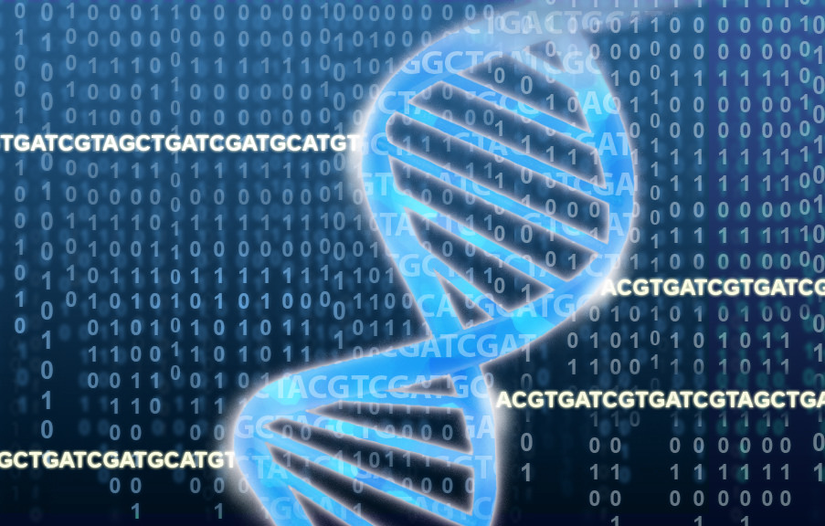 DNA double helix rests on a field of ACGTs and binary numbers.