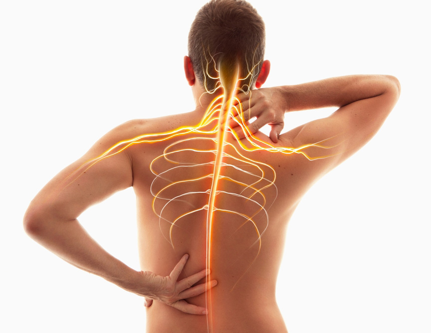 Illustration of nerves and spinal cord on a photo of a man touching his back.