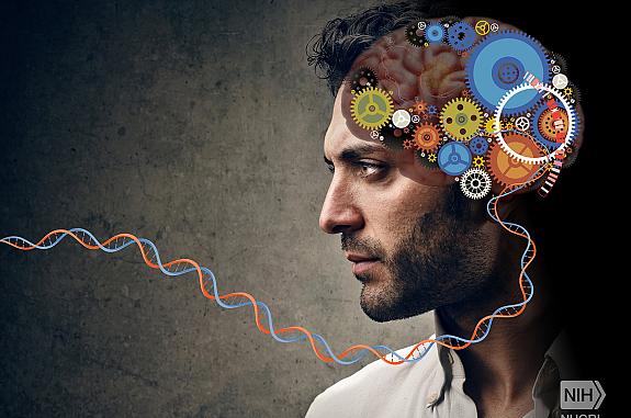 Artistic representation of schizophrenia with a man’s head in profile and juxtaposed over the brain are many colorful gears.