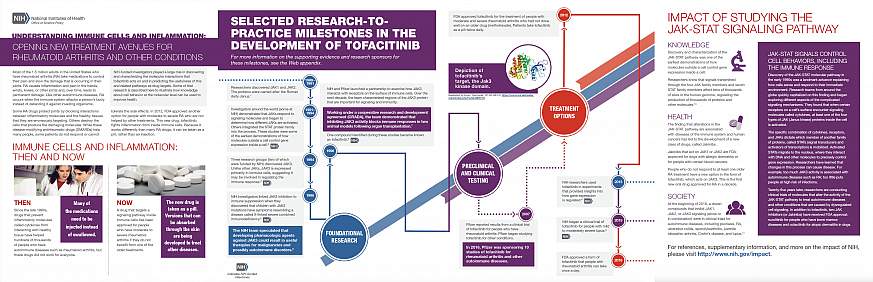 Screenshot of the Understanding Immune Cells and Inflammation Case Study