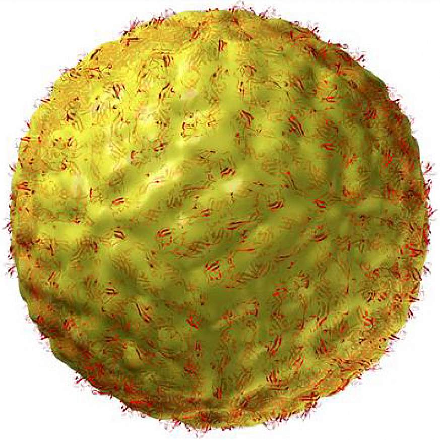 3-D structure of hepatitis C virus.