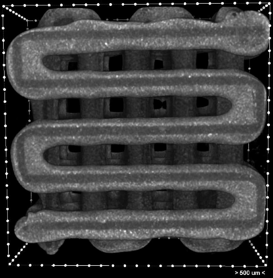 3D-printed scaffold