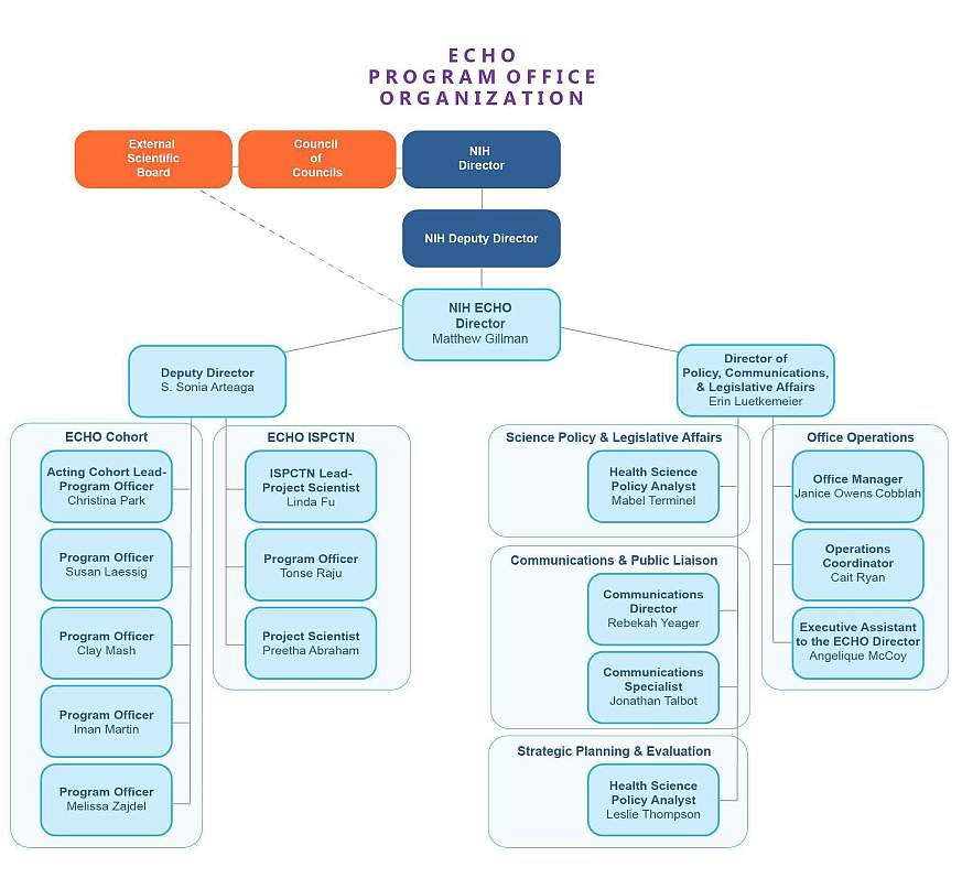 Echo Org Chart.