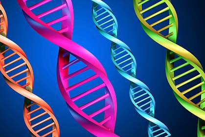 Illustration of several DNA strands