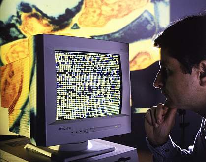 Photo of scientist examining computer monitor