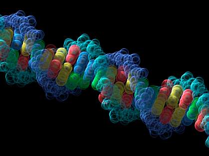 Illustration of DNA Illustration of DNA