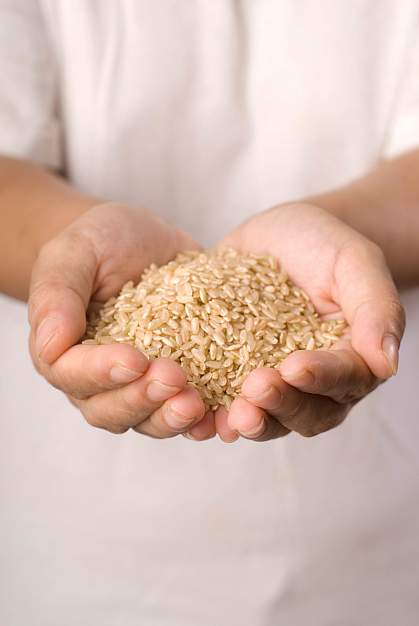 Photo of hands holding brown rice Photo of hands holding brown rice