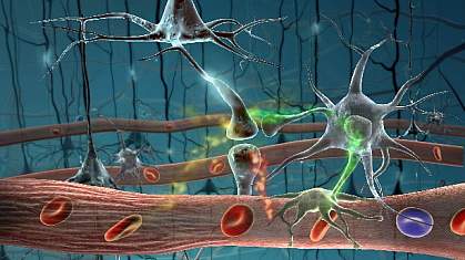 Illustration of a colorful network of neurons