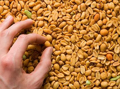 Photo of a hand reaching for a sea of peanuts.