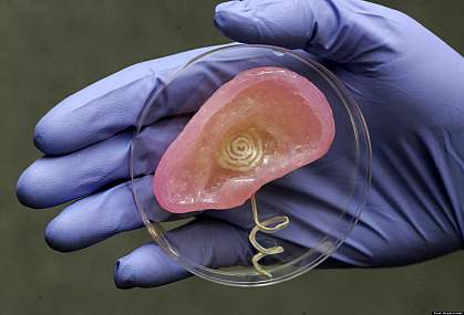 Hand holding printed bionic ear.