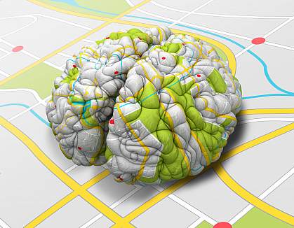 Brain road map Illustration of a brain sitting on, and wrapped with, a road map.