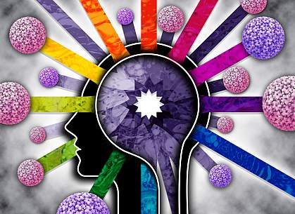 Illustration of a cross section of the brain.