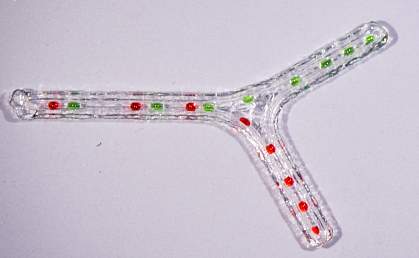3-D printed nerve scaffold with two branches. 3-D printed nerve scaffold with two branches.