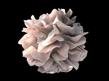 An artist's representation of the surface of a human dendritic cell.