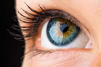 Close-up of an eye