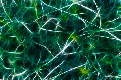 Illustration of neurons