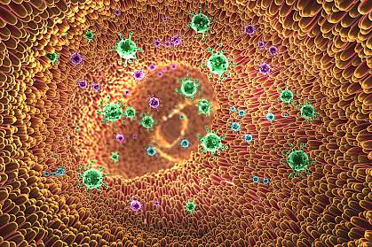 Illustration of viruses and villi in digestive tract