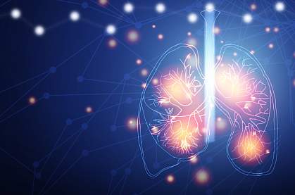 3D illustration of lungs.