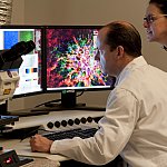 Two scientists observe ocular tissue samples under a laser scanning microscope.