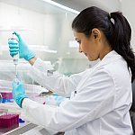 Image of a scientist pipetting from 50 mL conical tube