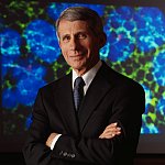 Dr. Fauci