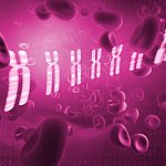 Conceptual image of blood cells on a hot pink background, along with chromosomes.