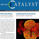 About The NIH Catalyst