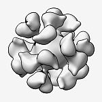 3D reconstruction of EBV gp350-ferritin nanoparticle