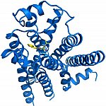 Three-dimensional model of protein