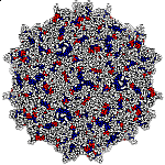 Illustration of a spherical virus 