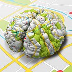 Illustration of a brain sitting on, and wrapped with, a road map.