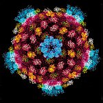 The reovirus core structure