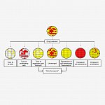 Scheme showing potential outcomes on a cell culture