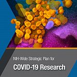 NIH-Wide Strategic Plan for COVID-19 Research