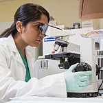 A female researcher looks through a microscope.